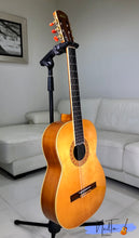 Load image into Gallery viewer, Zen-On CM-300 Minstrel Folk Guitar 1953