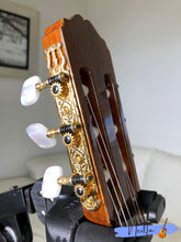 Load image into Gallery viewer, TAKAMINE NO.8 CLASSICAL GUITAR (1999)