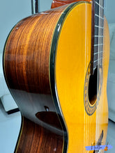 Load image into Gallery viewer, Fernandes GC-20 Grand Concert Classical Guitar
