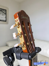 Load image into Gallery viewer, Ibanez AWG600ENLA Nylon String semi-Acoustic guitar
