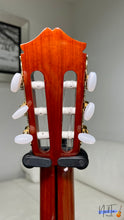Load image into Gallery viewer, Morris M20 Custom Electric Classical Guitar