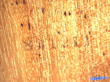 Load image into Gallery viewer, Ryoji Matsuoka M30 Handmade Classical Guitar (1983)