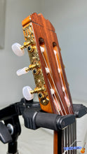 Load image into Gallery viewer, Ryoji Matsuoka M80 (1990) Classical Guitar