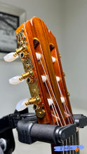 Load image into Gallery viewer, Shinano SC-20 (1972) Handmade Concert Classical Guitar