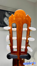 Load image into Gallery viewer, Shinano SC-20 (1972) Handmade Concert Classical Guitar