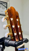 Load image into Gallery viewer, Shinano SC-30 Handmade Concert Classical Guitar