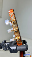 Load image into Gallery viewer, Takamine No.6 Classical Guitar (1981)