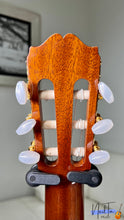 Load image into Gallery viewer, Takamine No.6 Classical Guitar (1981)