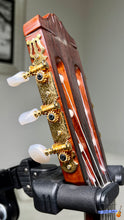 Load image into Gallery viewer, Yamaha CG-150SA Electric Classical Guitar (1980) with Fishman Presys 301 Pickup System
