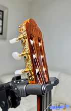 Load image into Gallery viewer, Yamaki GC-15 Concert Classical Guitar