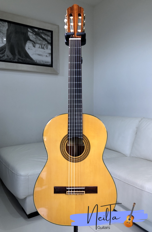 ZEN-ON ZG-250 CLASSICAL GUITAR – Neil Ta Music ZEN-ON ZG-250 CLASSICAL GUITAR – Neil Ta Music