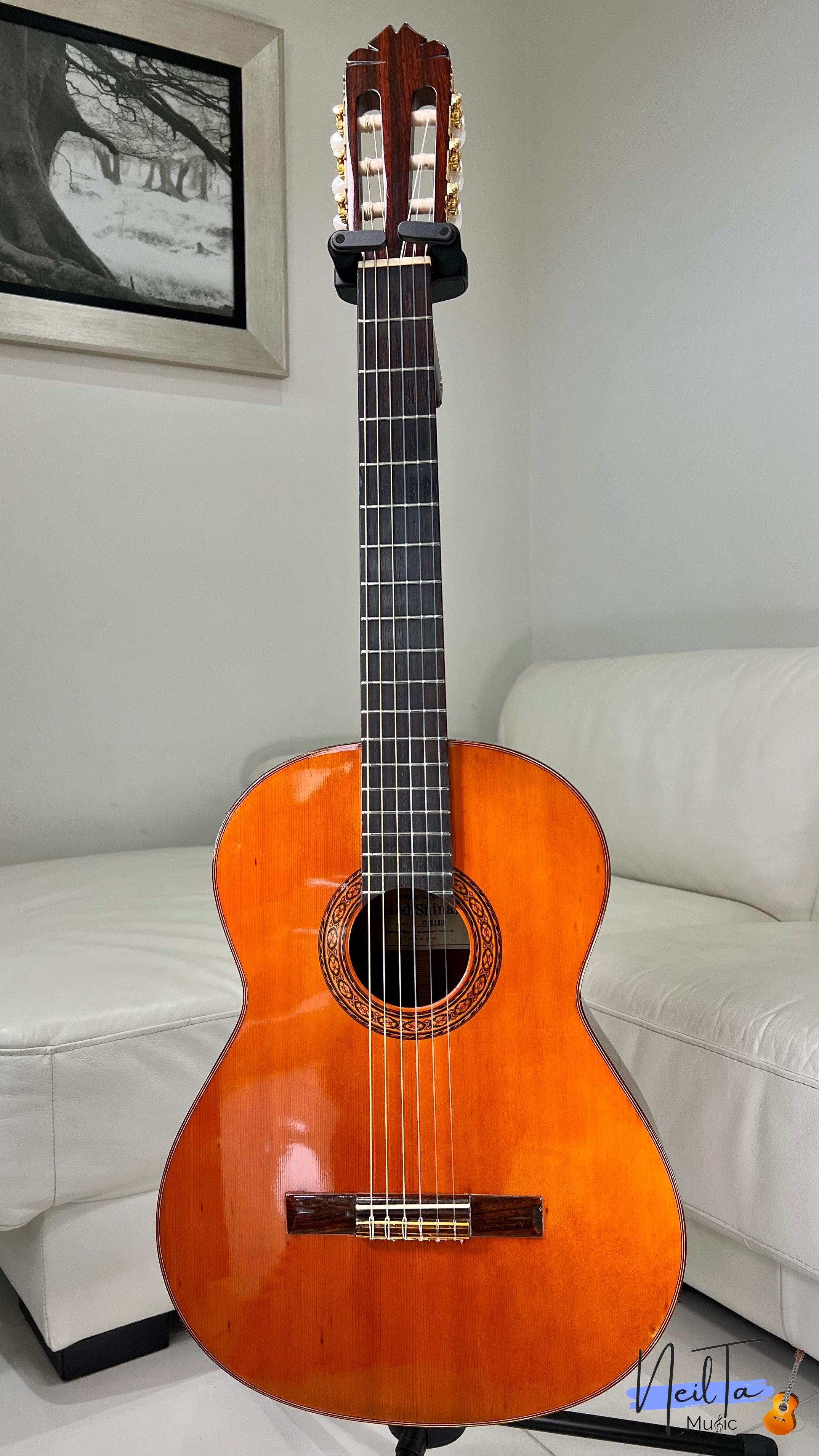 クラシックギター Grand Shinano Model No.GS1８０ - アコースティック 