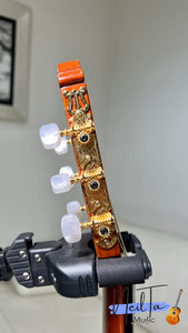 Grand Shinano GS-150 Custom Electric Classical Guitar