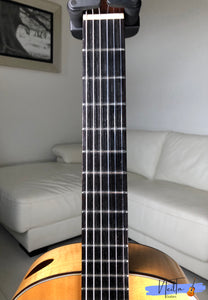 Aria A553 Flamenco/Classical Guitar 1976 (custom)