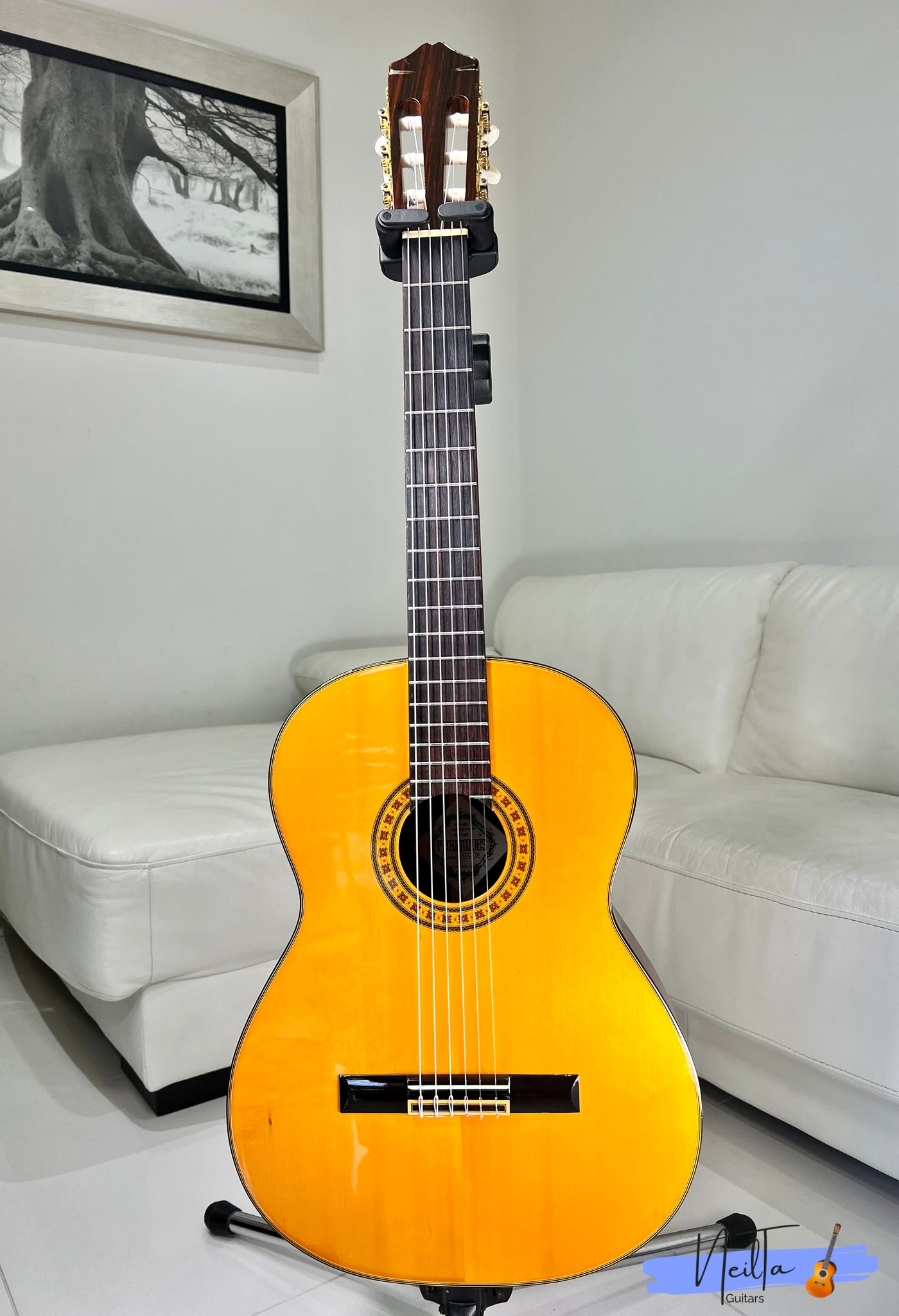 Fernandes GC 20 Grand Concert Classical Guitar Neil Ta Music fernandes-gc-20-grand-concert-classical-guitar-neil-ta-music