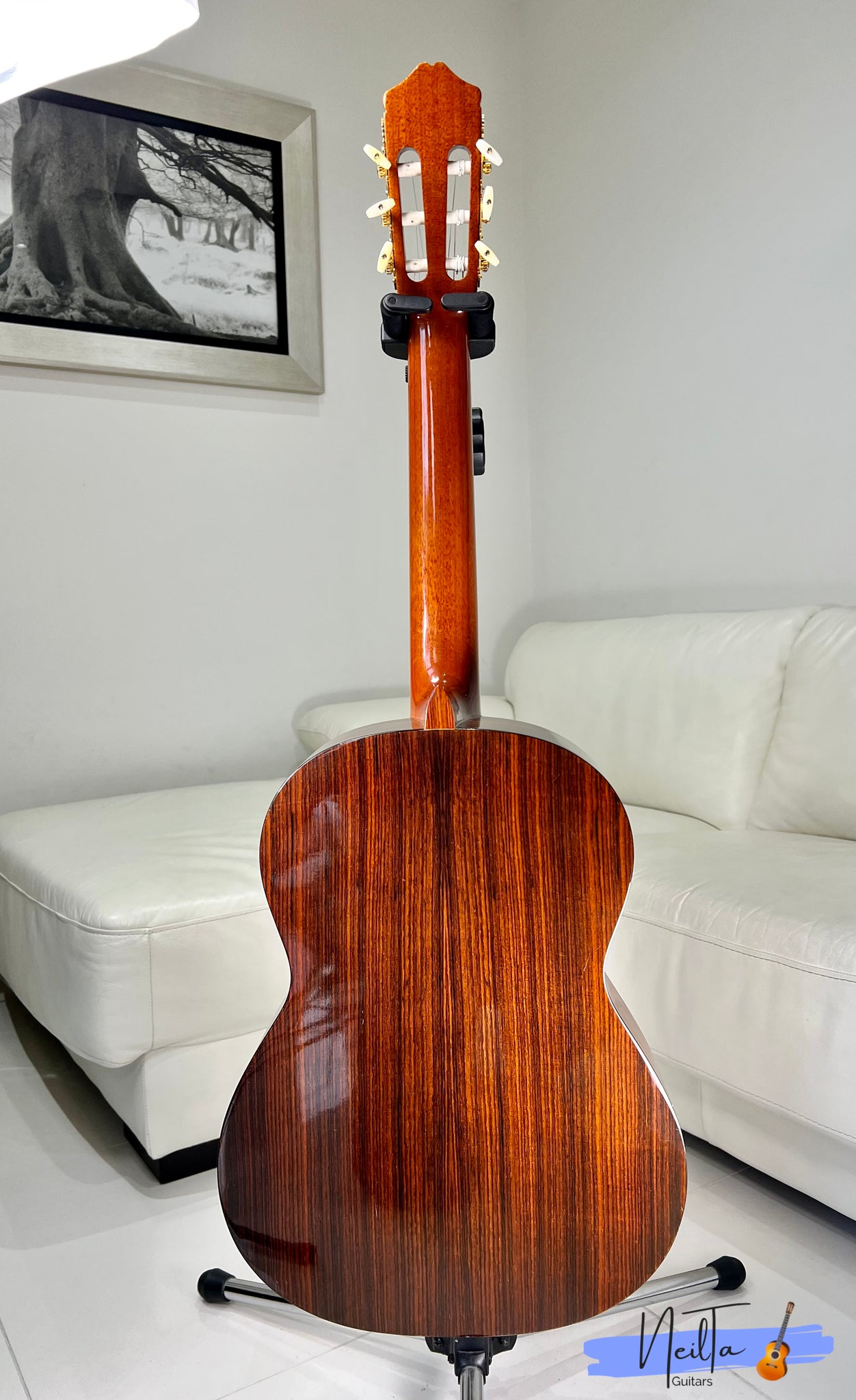 Fernandes GC 20 Grand Concert Classical Guitar Neil Ta Music fernandes-gc-20-grand-concert-classical-guitar-neil-ta-music