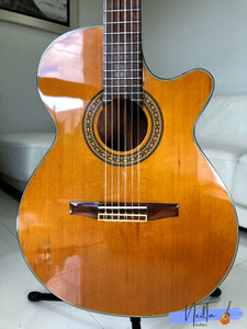 Ibanez AWG600ENLA Nylon String semi-Acoustic guitar