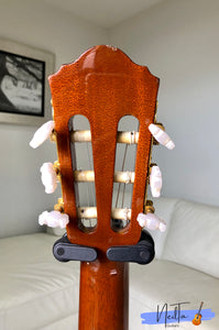 Ibanez AWG600ENLA Nylon String semi-Acoustic guitar