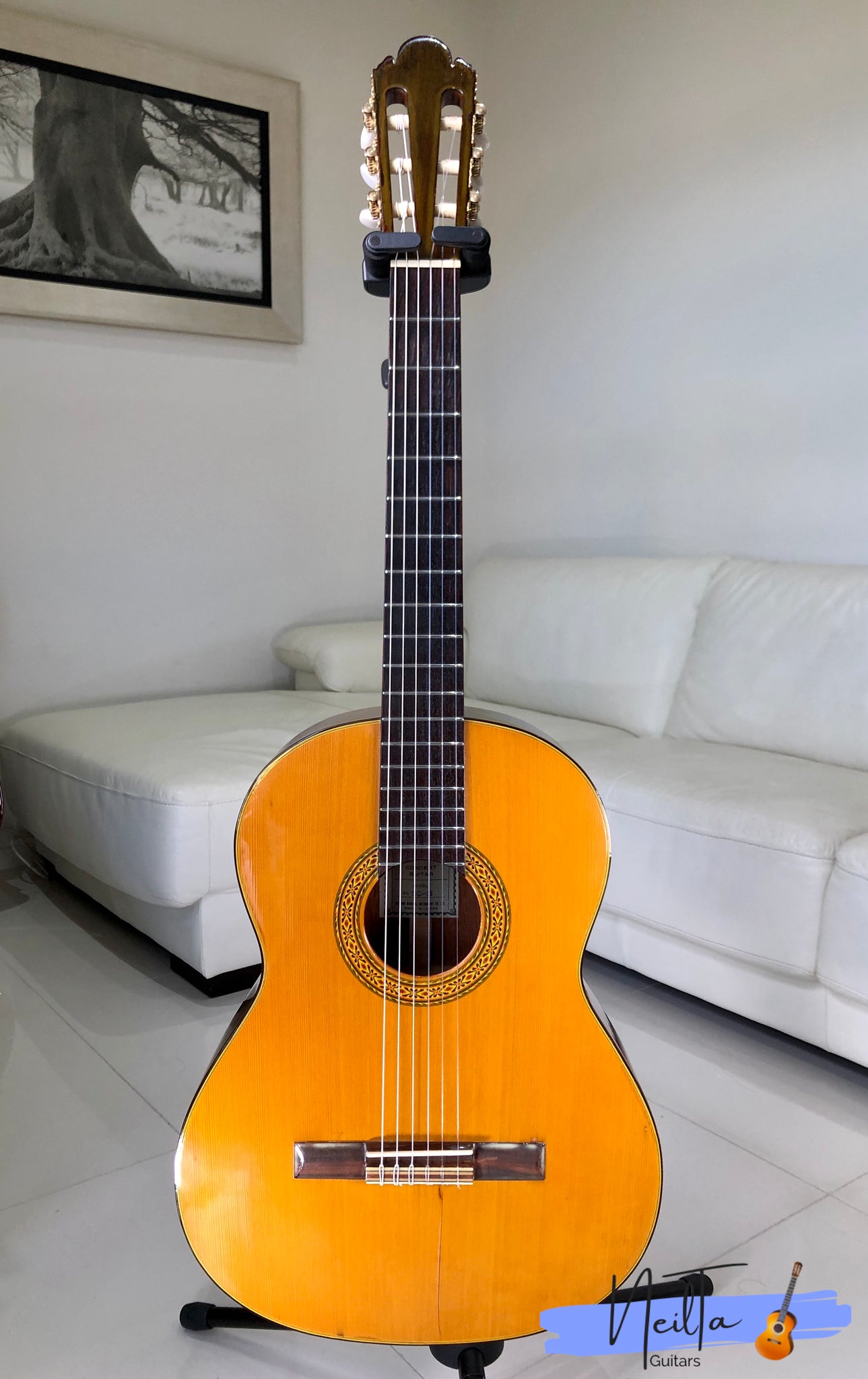 Shinano SC-25 Handmade Concert Classical Guitar – Neil Ta Music