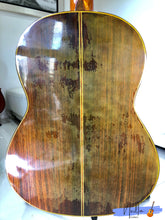 Load image into Gallery viewer, Shinano SC-25 Handmade Concert Classical Guitar
