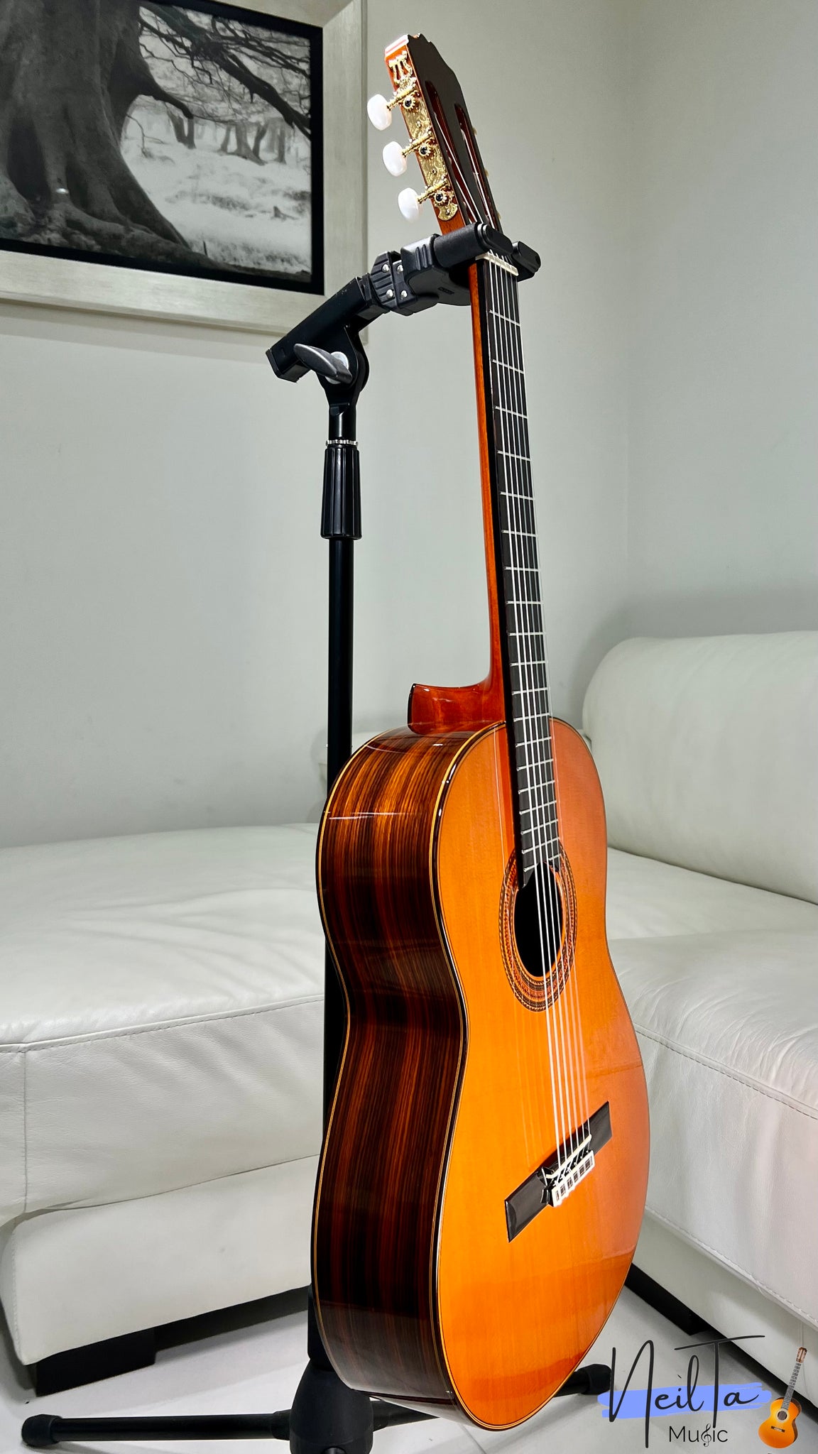 安い正規店(Gt4-hy) KODAIRA AST50 ARTIST MODEL ケース付き コダイラガットギター クラシックギター 弦器 BST18 本体